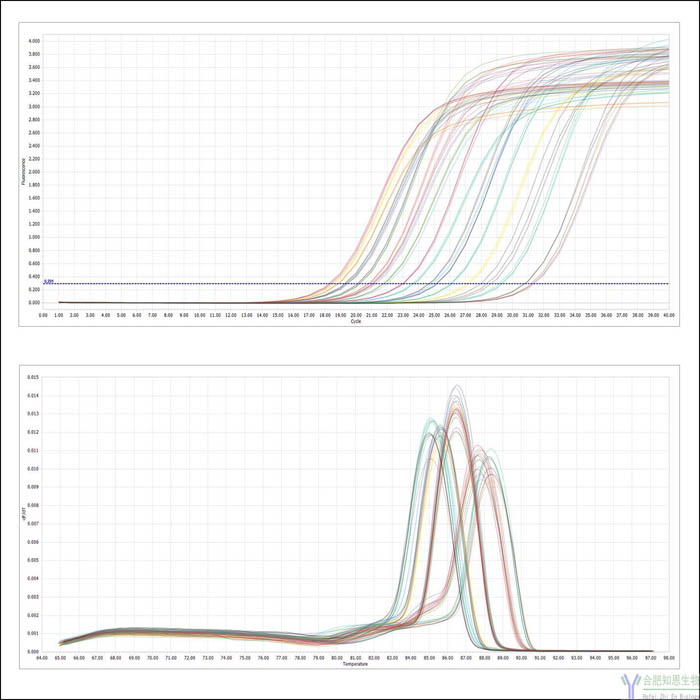 qPCR