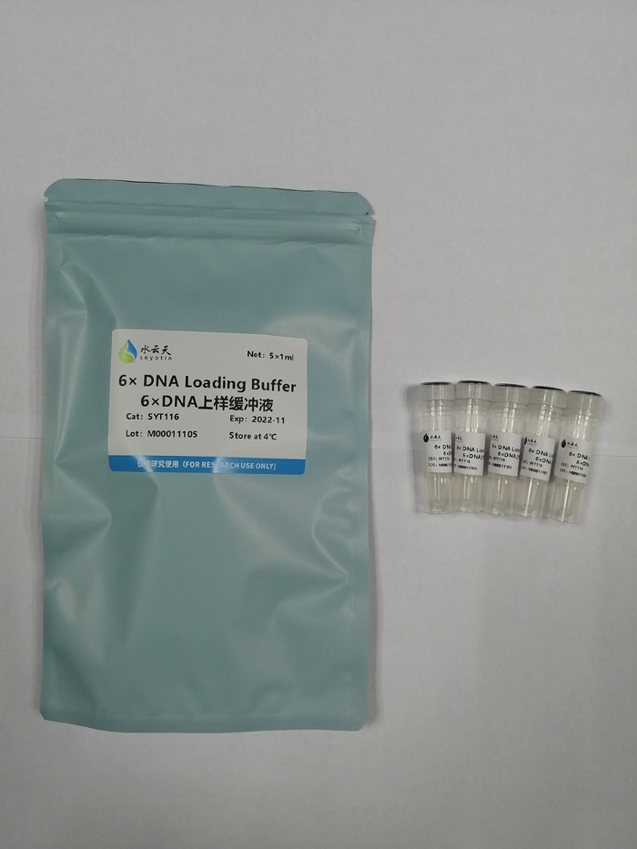 6 DNA Loading Buffer 6DNAҺ