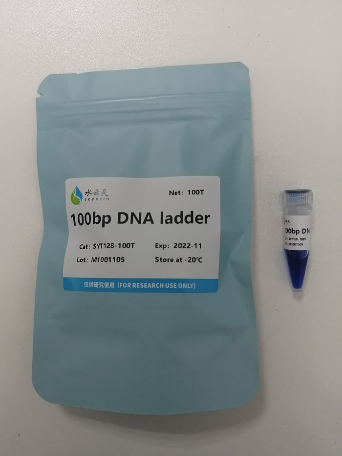 100bp DNA ladder