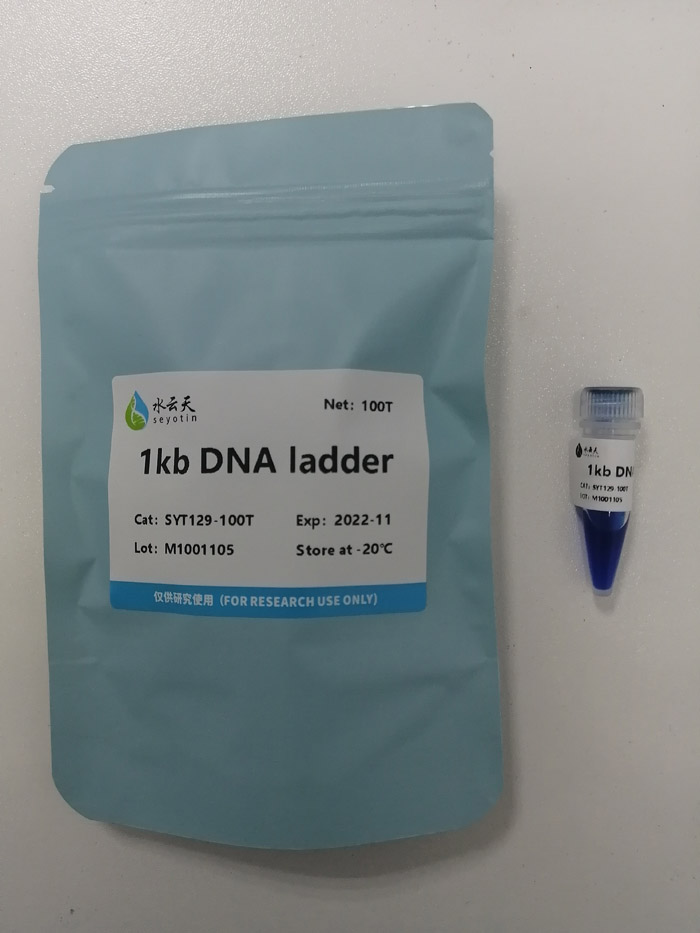 1kb DNA ladder