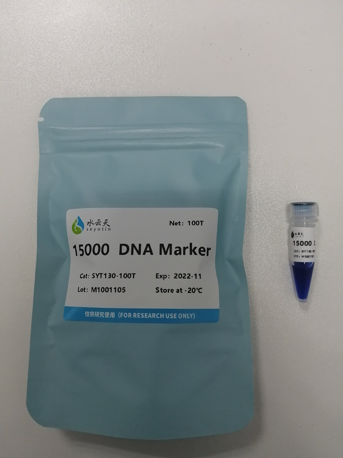 15000 DNA Marker
